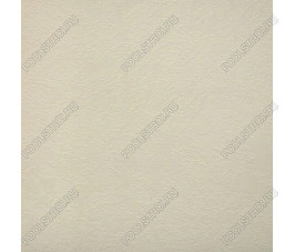 Лайнер для бассейна Passion Sable 1.65x25m (41,25м.кв) Лайнер для бассейна Passion Sable 1.65x25m (41,25м.кв)